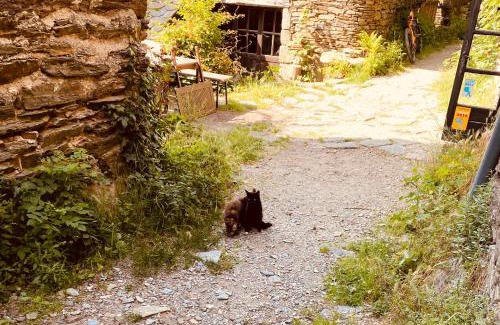 Vialas Casa | Le Refuge de Castagnols