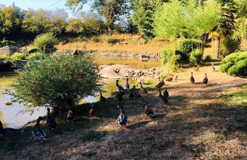 Saint-Aubin-le-Cloud Apartamento | Le refuge des canards