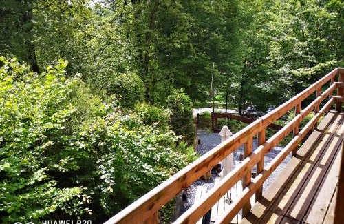 Vresse-sur-Semois Apartamento | Le Rouge Gorge Curieux