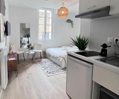 Toulouse City-Centre Apartamento | Le Saphir