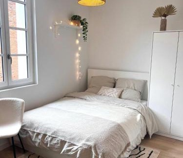 Toulouse City-Centre Apartamento | Le Saphir