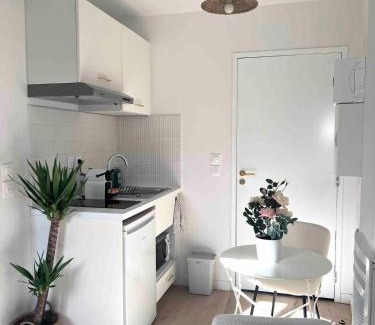 Toulouse City-Centre Apartamento | Le Saphir