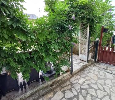 Lillebonne Casa | Le secret de la Glycine