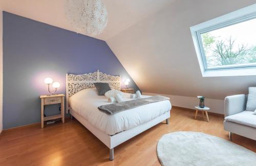 Haguenau Apartamento | Le Serenity - Maison proche Gare