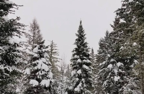 Shannon Chalet De Esquí | Le Sherwood #12