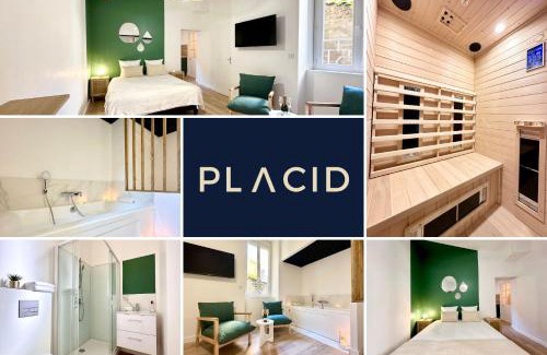 Mont-de-Marsan Apartamento | Le SPA Étoilé - Baignoire Balnéo et Sauna Privatif