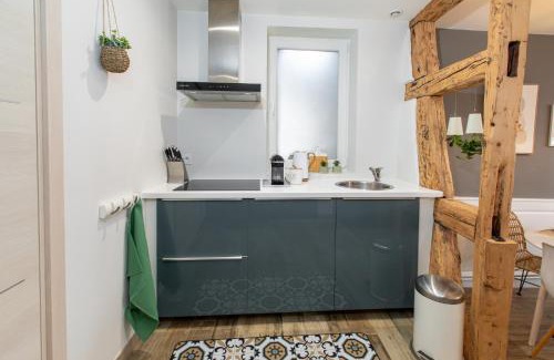Colmar Centre Ville Apartamento | Le St-Jean