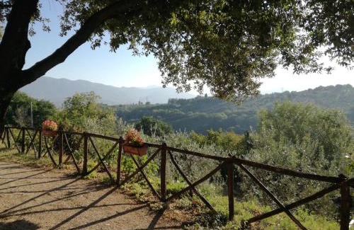 Collescipoli Casa | Le Storie di Bambu