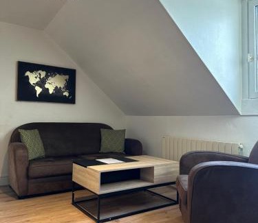 Romorantin-Lanthenay Apartamento | Le studio du square: beauval