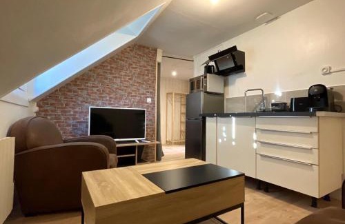 Romorantin-Lanthenay Apartamento | Le studio du square: beauval