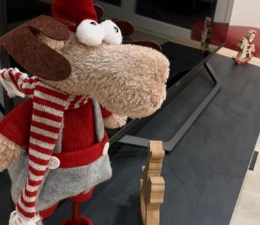 Dabo Apartamento | Le Terrier du Katz