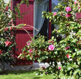 Saint-Briac-sur-Mer Cama Y Desayuno | Le Tertre Gatinais