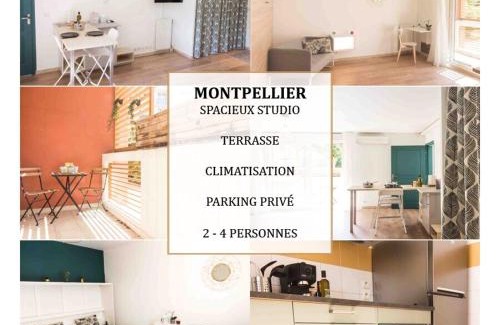Estanove Apartamento | Le Tropisme - Terrasse en centre ville