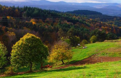 Auzon Communaute Cama Y Desayuno | Le Vallon d'Armandine, gîte écologique Auvergne