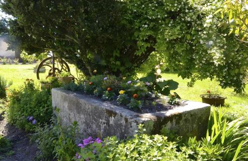 Reaux Cama Y Desayuno | Le Vieux Noyer