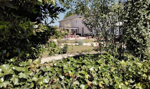 Montreuil-Bellay Cama Y Desayuno | Le Vieux Logis