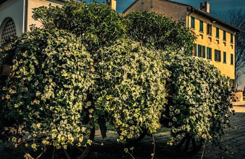 Cessalto Casa | Le Vigne Morosina