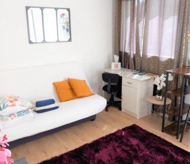 Tarbes Apartamento | Le Zen -studio tout équipé- WIFI Fibre- centre ville avec parking