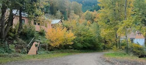 Sainte-Marie-aux-Mines Apartamento | Le Zillhardthof