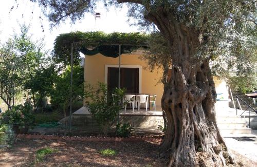 Tsoukaladhes Casa | Lefkas house with garden