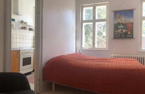 Ribe Apartamento | Lejlighed i hjertet af Ribe