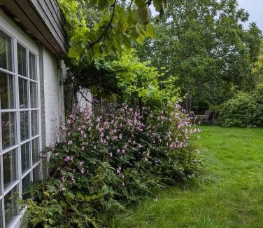Graested Apartamento | Lejlighed ved skov