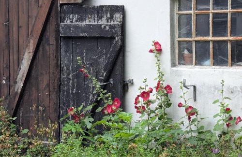 Graested Apartamento | Lejlighed ved skov