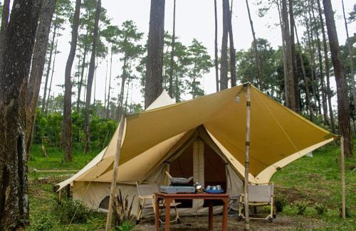 Cikole Otro | Lembah Pinus Cikole