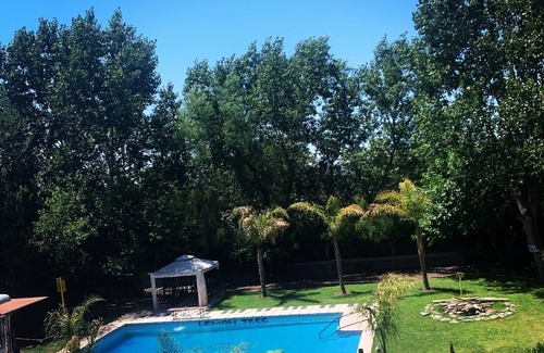 Vistalba Apartamento | Lemon Tree Hostel Mendoza Argentina
