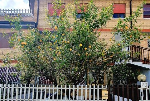 Ostia Antica Apartamento | Lemon Tree House