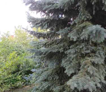 gmina Parzeczew Apartamento | Leon