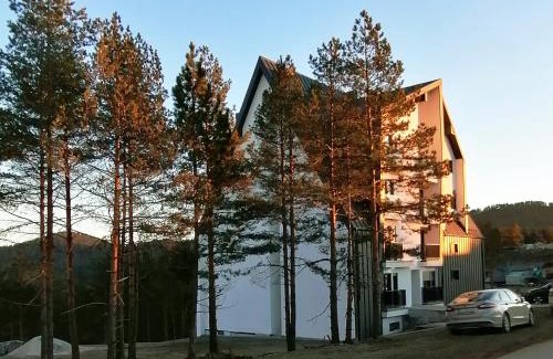 Divcibare Apartamento | Leona C2 Apartment - Divčibare