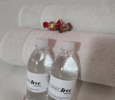 Springbok Cama Y Desayuno | Leopard Tree Guesthouse