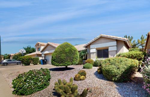 Gilbert Casa | Leo’s Pool & Park House