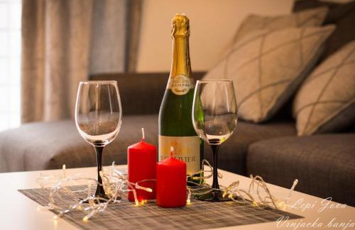 Vrnjacka Banja Apartamento | Lepi Jova - SNEZNIK