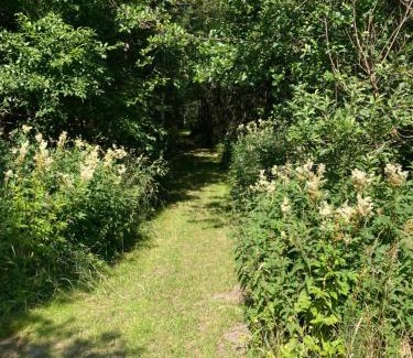 Frederikshavn Casa | Lerbæk Naturpark