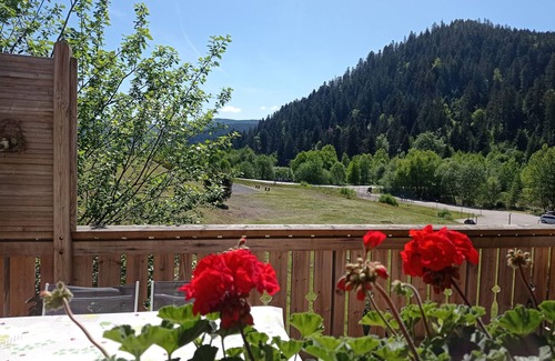Gerardmer Apartamento | Les Agapanthes *** lakeside apartment
