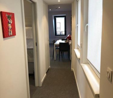 Krutenau Apartamento | Les Appartements du Renard