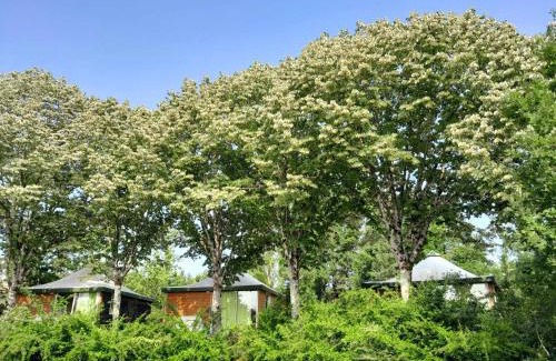 Rabastens Otro | Les Auzerals camping du lac