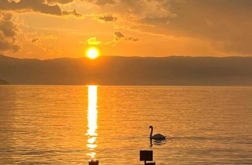 Sciez Otro | Les bord du Lac Leman