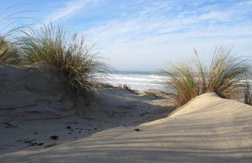 Biscarrosse Plage Casa | Les Cottages 2 - Maison 4 à 5 personnes au bord de l'océan