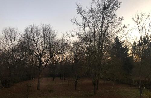 Montauban Casa | Les Dames Noires