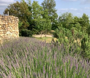 Cales Cama Y Desayuno | Les Etoiles de Calès - chambres d'hôtes de charme près de Rocamadour au coeur du Parc Naturel des Causses du Quercy