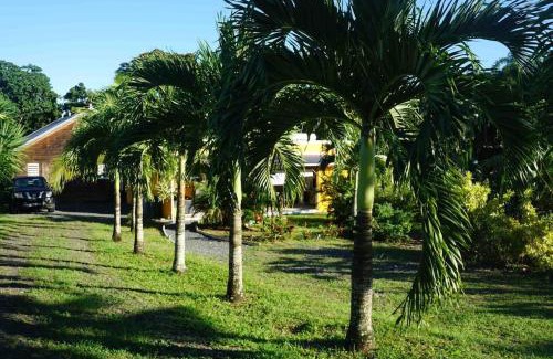 Sainte-Rose Casa | Les gîtes "La belle verte"
