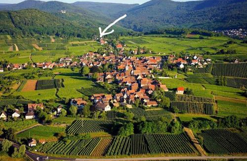 Mittelbergheim Apartamento | Les Gites du Holzweg