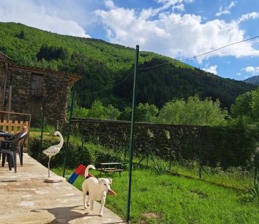 Barnas Apartamento | Les gites flora la lavande et châtaignier