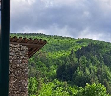 Barnas Apartamento | Les gites flora la lavande et châtaignier