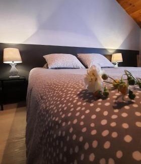 Nisramont Casa | Les Grands Chais