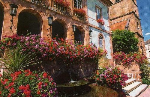 Saint-Philippe Apartamento | LES HORTENSIAS