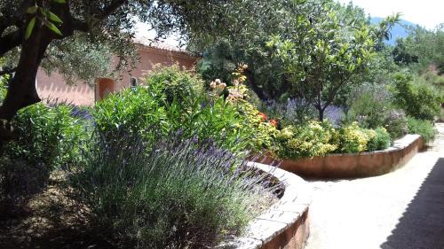 Les Salles-sur-Verdon Cama Y Desayuno | Les Jardins de l'Ermitage